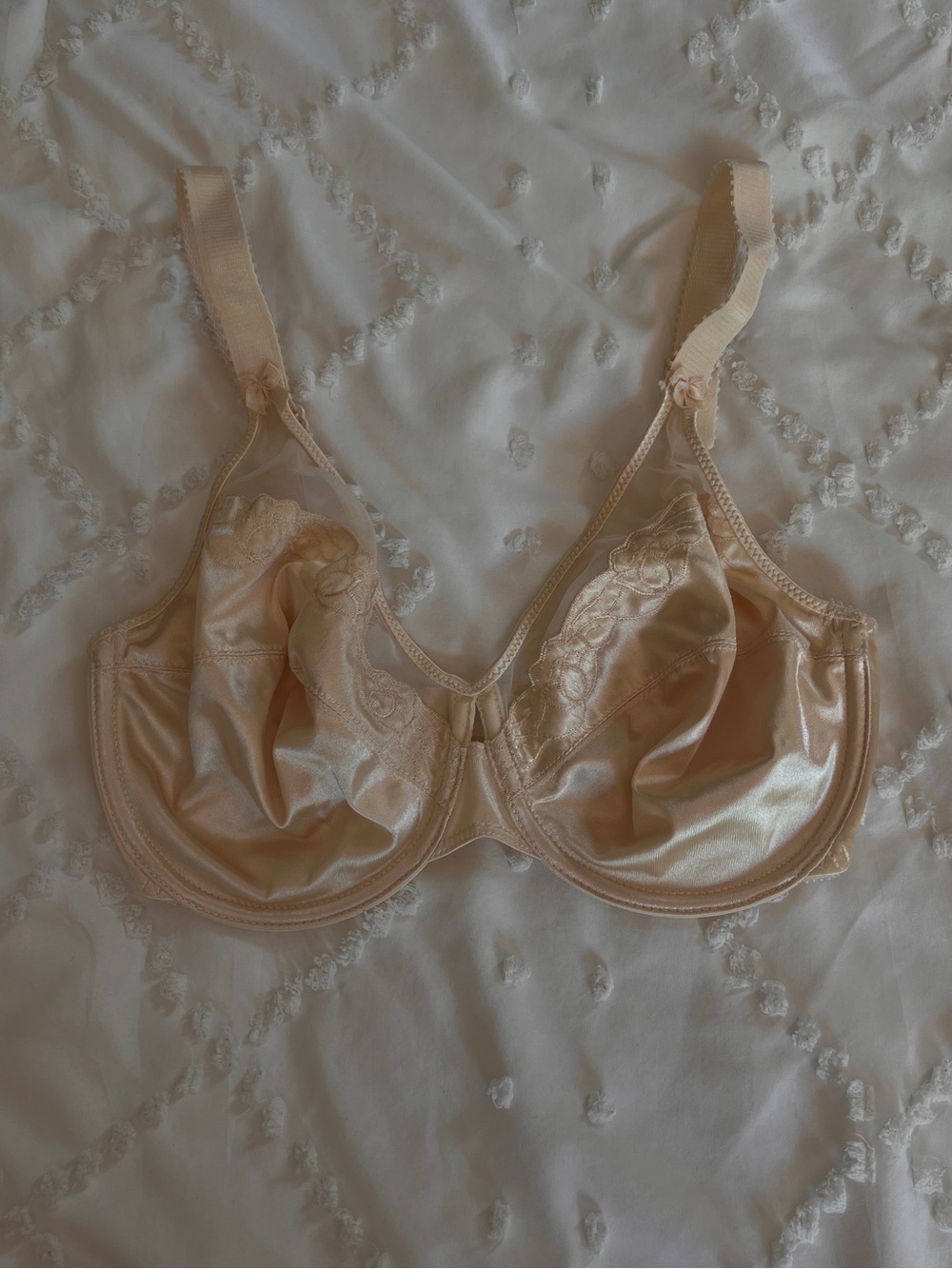 Bali 34D Champagne Satin Sheer Underwire Bra NWOT